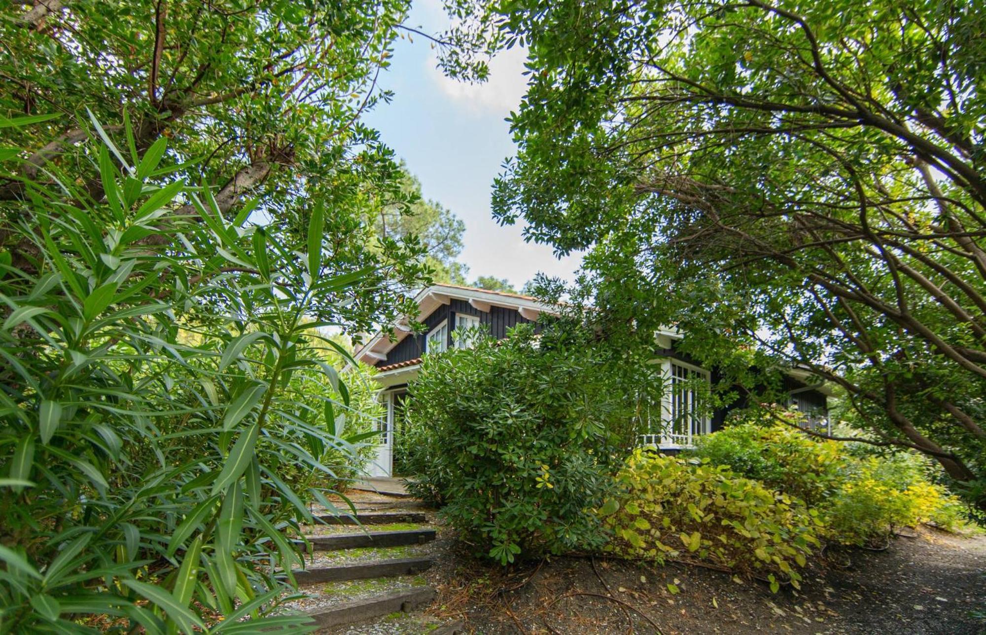Villa Lolita Pour 6 Pers Au Cap Ferret Lège-Cap-Ferret Exteriör bild