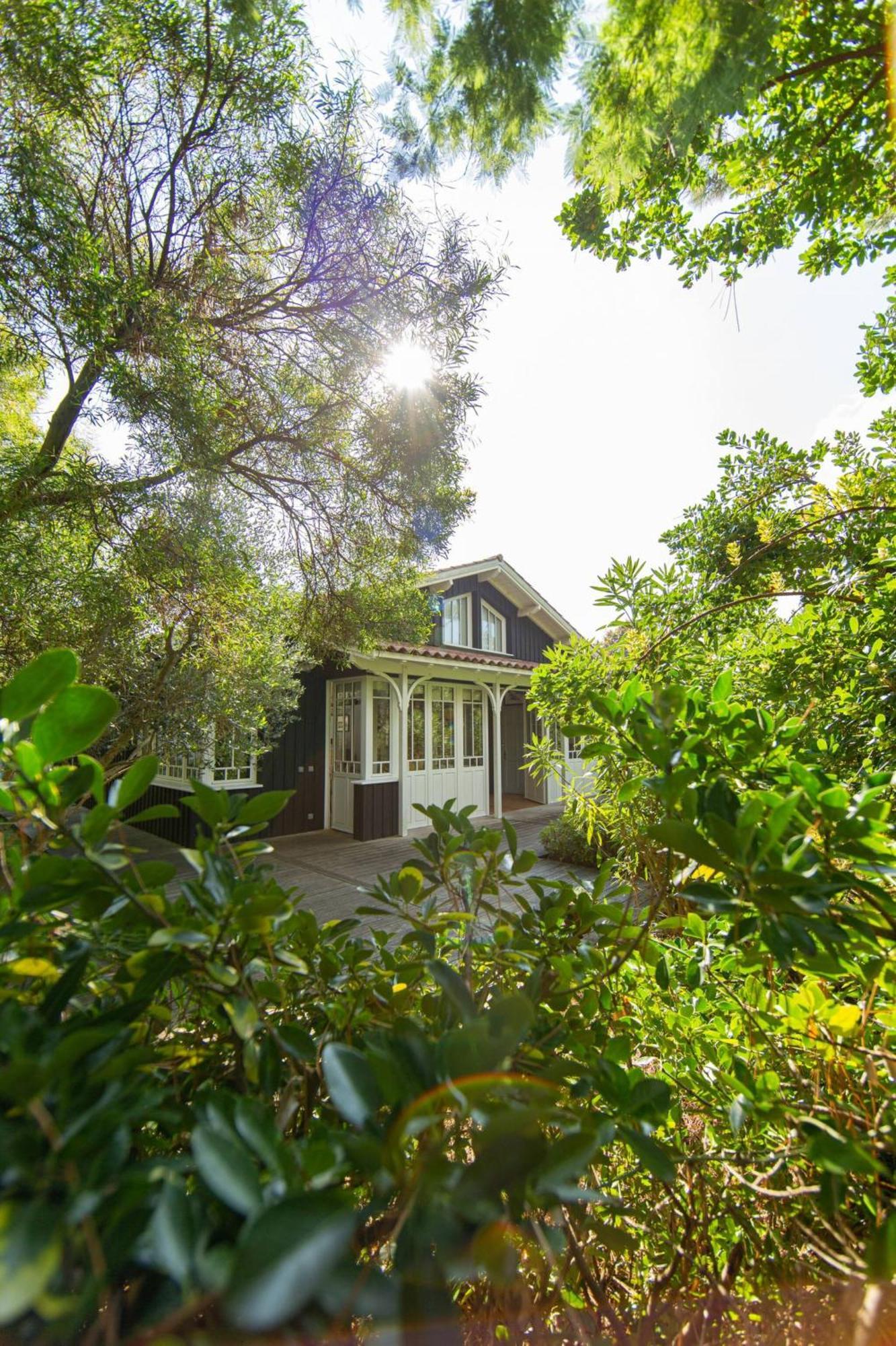 Villa Lolita Pour 6 Pers Au Cap Ferret Lège-Cap-Ferret Exteriör bild